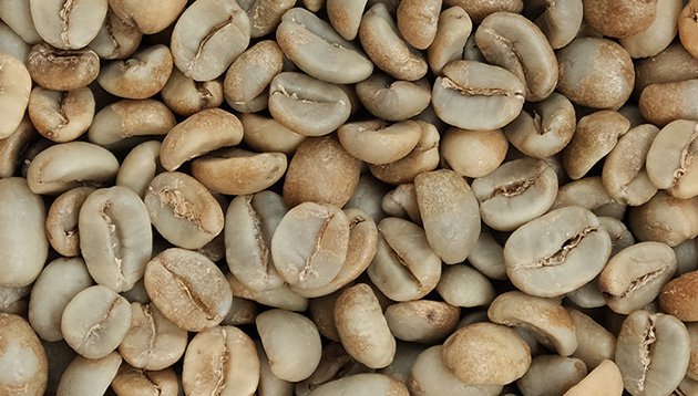 Arabica Bali Kala Patra – Hybrid Wash