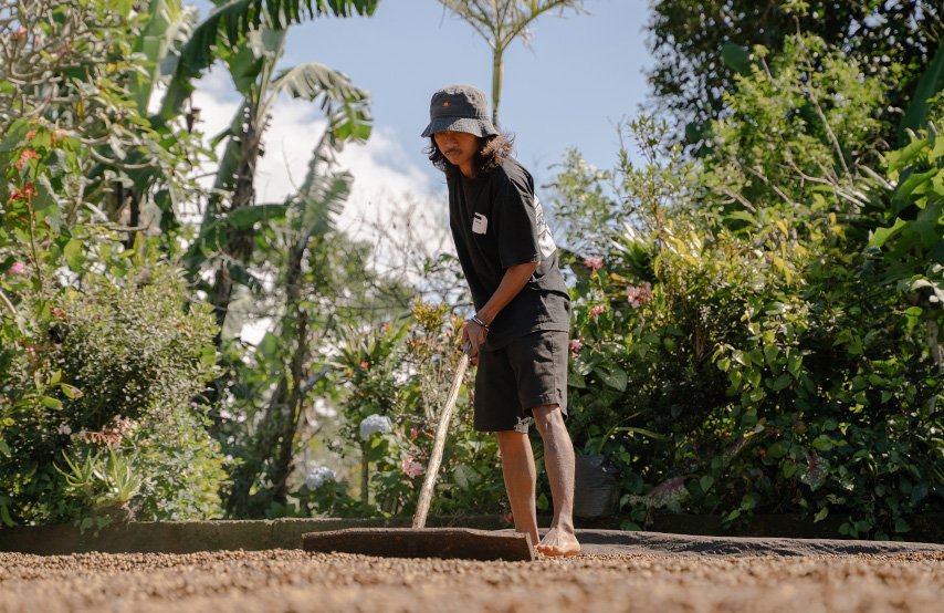 from beans to your embrace